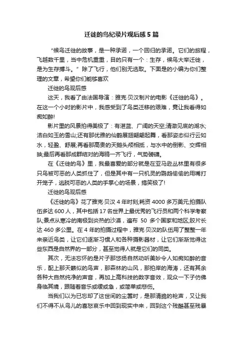 迁徙的鸟纪录片观后感5篇
