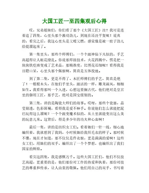 大国工匠一至四集观后感