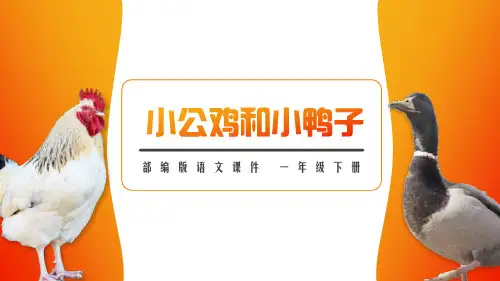 部编版一年级下册语文《小公鸡和小鸭子》PPT电子课件说课