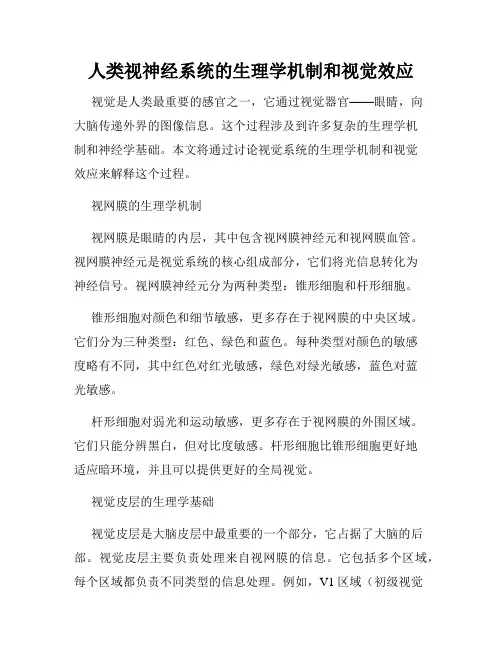 人类视神经系统的生理学机制和视觉效应