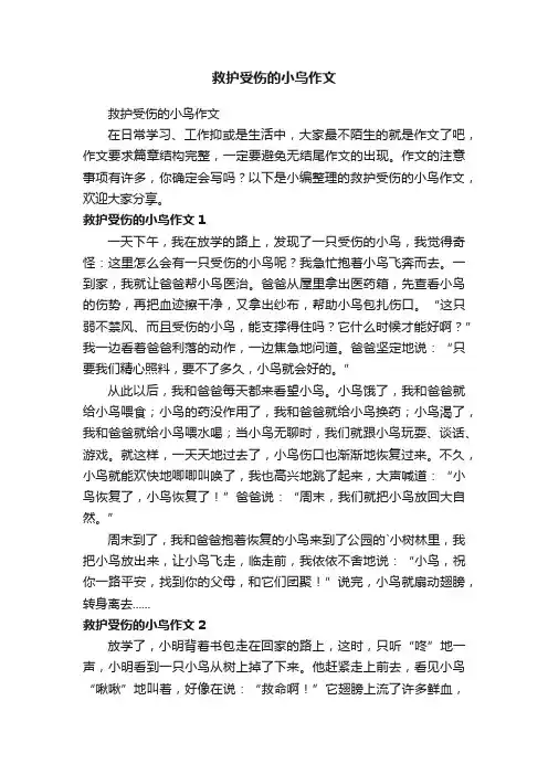 救护受伤的小鸟作文