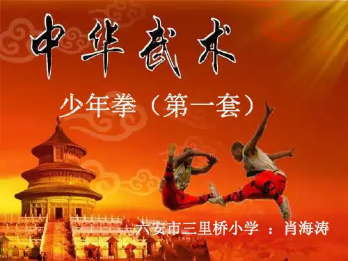 第22课少年拳(第一套)：震脚架打