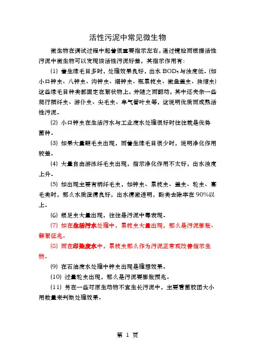 污水处理常见微生物高清晰照片及说明