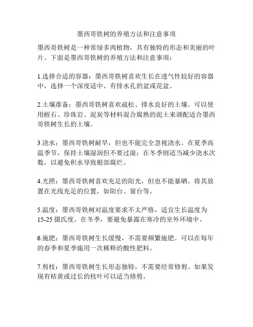 墨西哥铁树的养殖方法和注意事项
