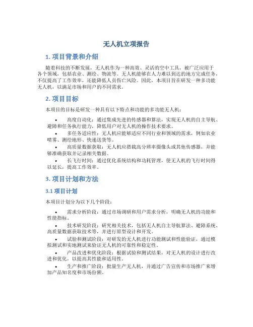 无人机立项报告