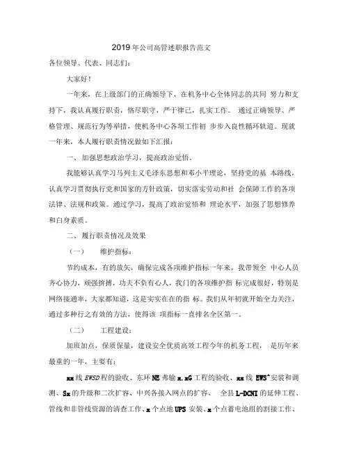 2019年公司高管述职报告范文