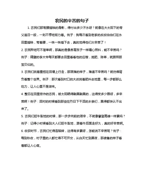 农民的辛苦的句子