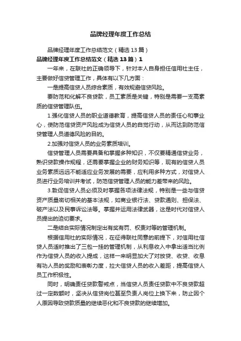 品牌经理年度工作总结