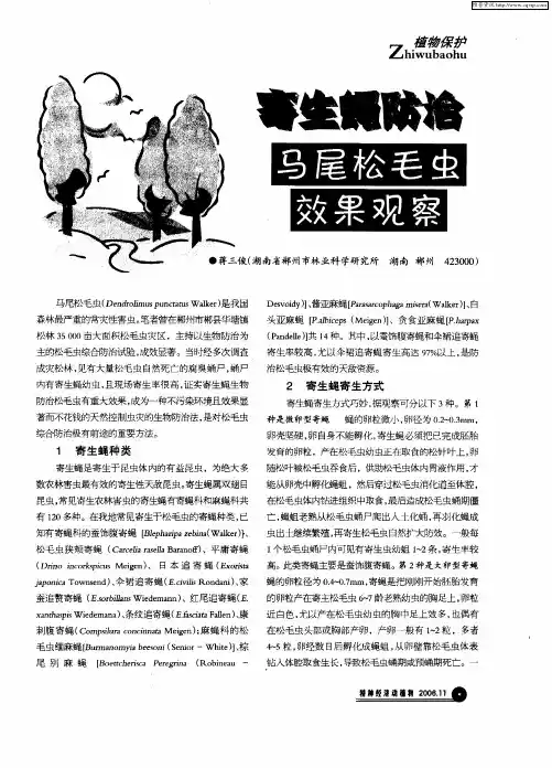寄生蝇防治马尾松毛虫效果观察