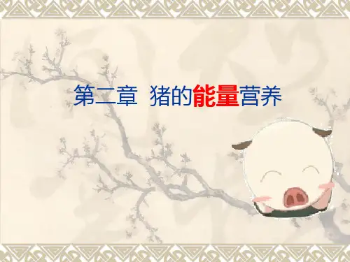 猪的能量营养