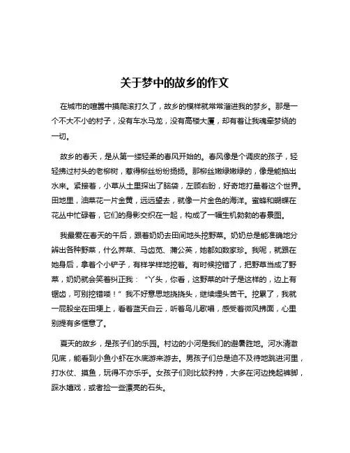 关于梦中的故乡的作文