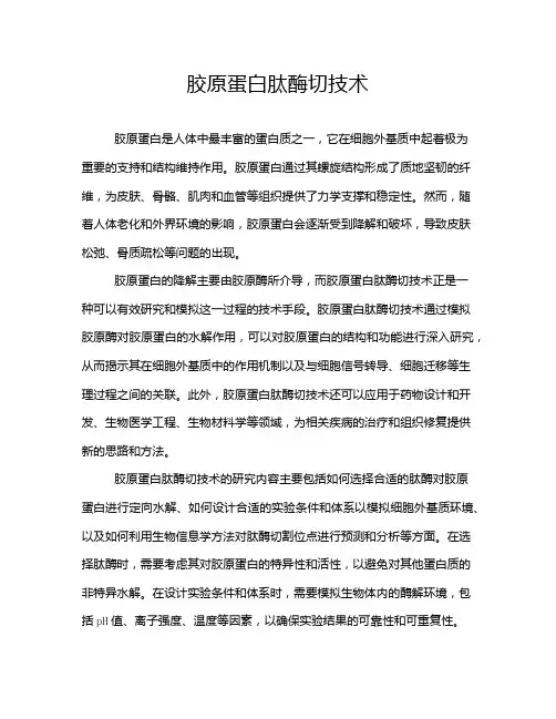 胶原蛋白肽酶切技术