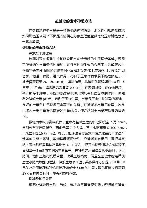 盐碱地的玉米种植方法