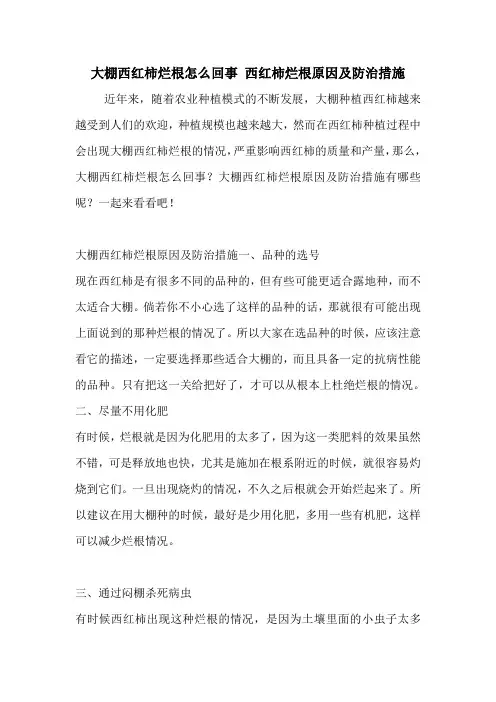大棚西红柿烂根怎么回事 西红柿烂根原因及防治措施