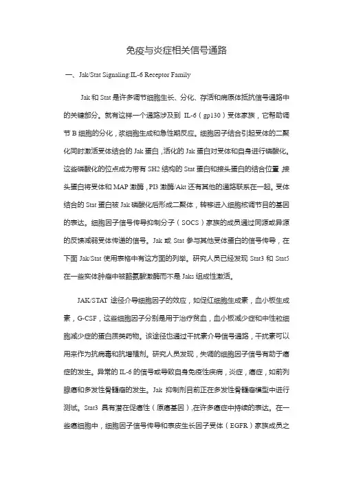 免疫和炎症相关信号通路
