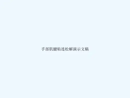手部肌腱粘连松解演示文稿