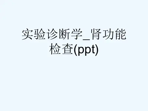 实验诊断学_肾功能检查(ppt)