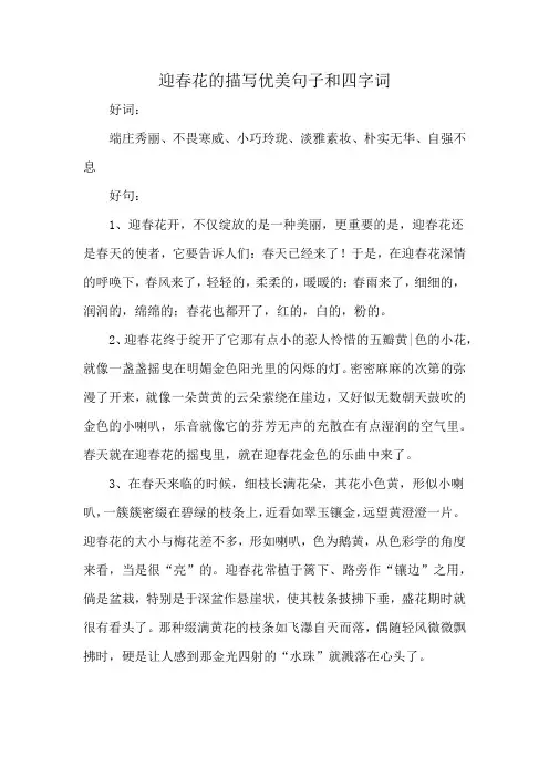 迎春花的描写优美句子和四字词