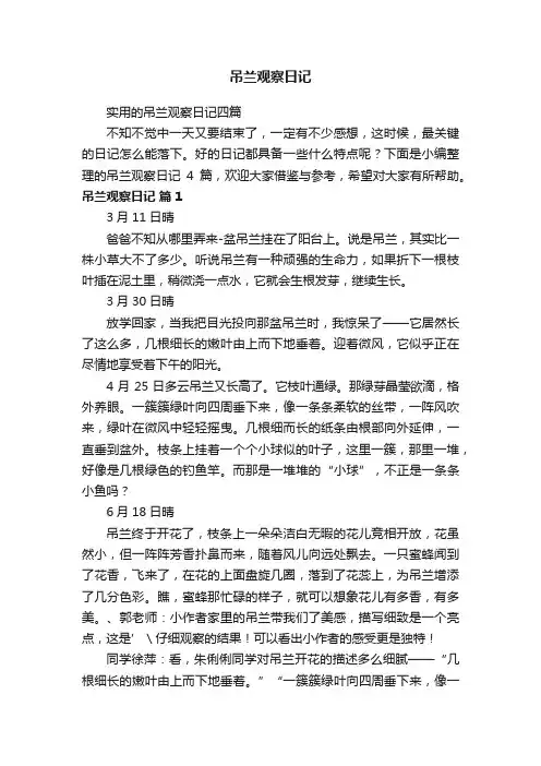 吊兰观察日记