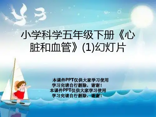小学科学五年级下册《心脏和血管》(1)幻灯片