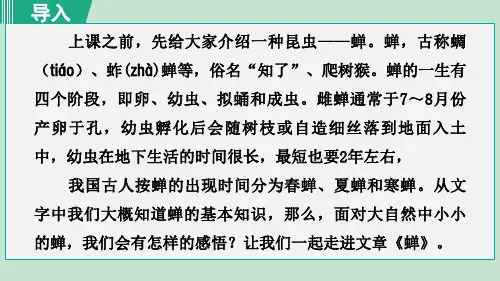 《蝉》PPT课件(完整版)