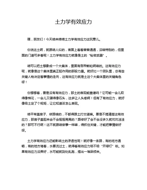 土力学有效应力
