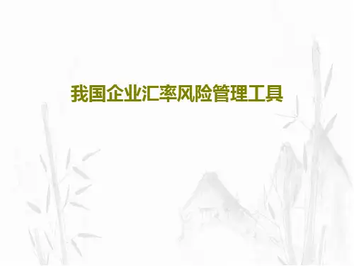 我国企业汇率风险管理工具PPT27页