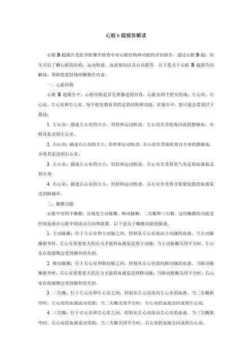心脏b超报告解读