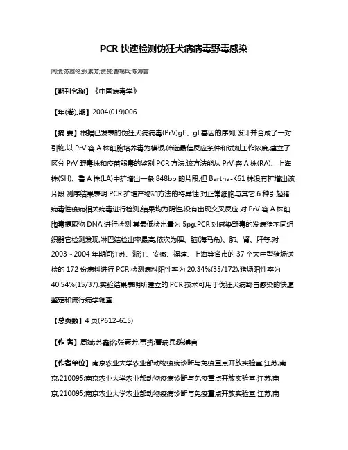 PCR快速检测伪狂犬病病毒野毒感染