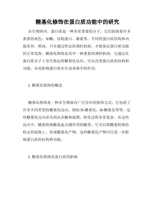 糖基化修饰在蛋白质功能中的研究