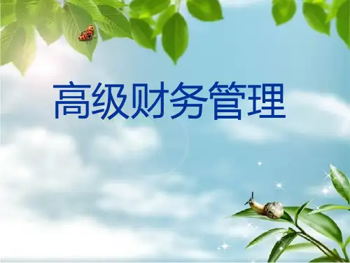 高级财务管理第一章JY幻灯片PPT