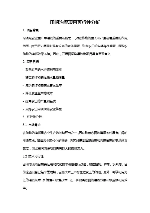 田间沟渠项目可行性分析