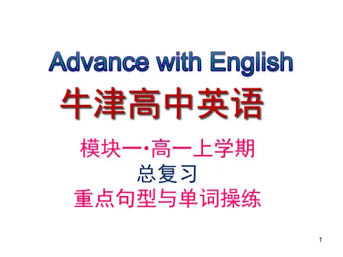 牛津高中英语模块一总复习(高一上学期)重点句式与单词