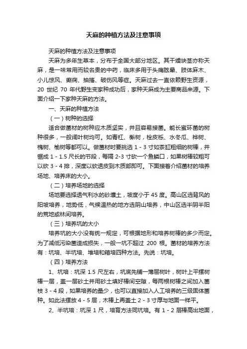 天麻的种植方法及注意事项