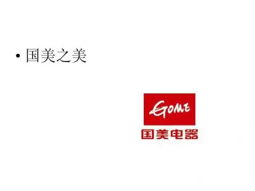 国美的成功之路