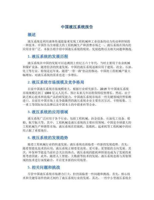 中国液压系统报告