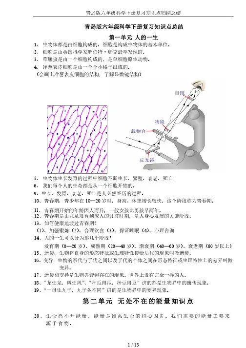 青岛版六年级科学下册复习知识点归纳总结