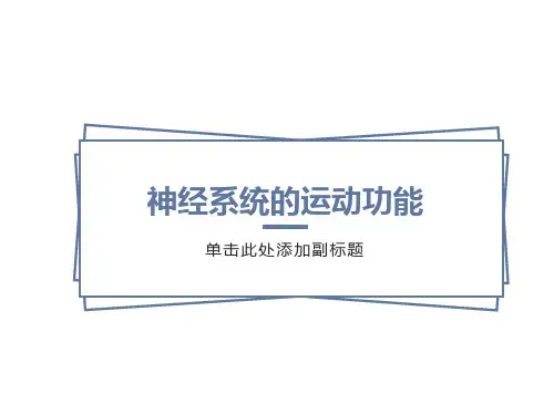 大脑皮层的运动功能