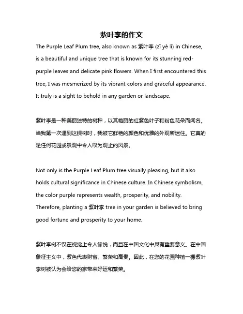 紫叶李的作文