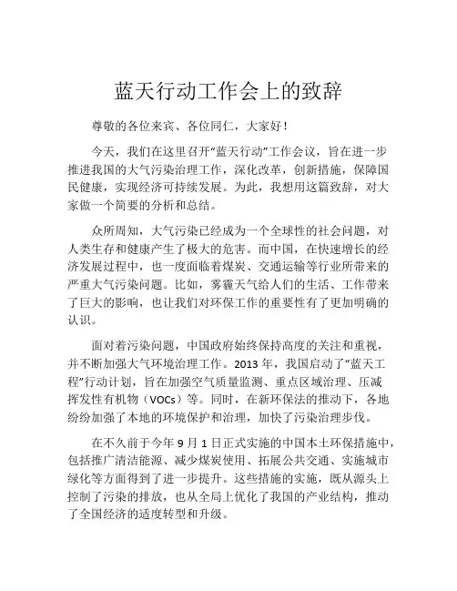 蓝天行动工作会上的致辞