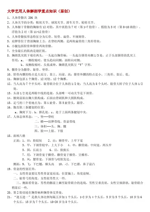 艺用人体解剖学重点知识