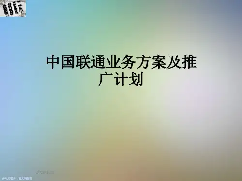 中国联通业务方案及推广计划