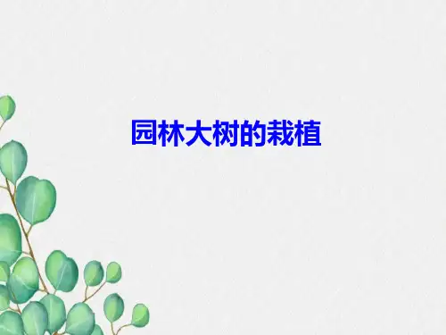 园林树木栽植注意事项精讲