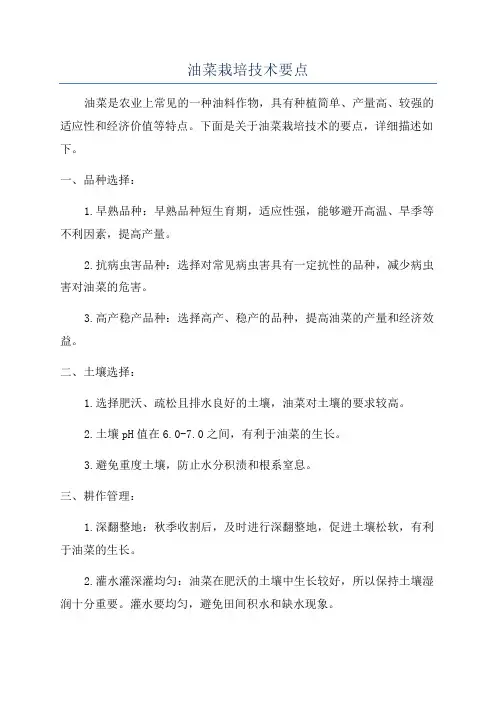油菜栽培技术要点