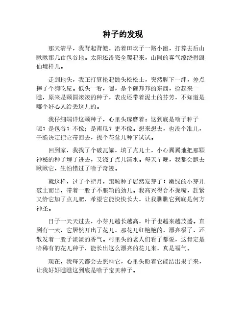 种子的发现作文