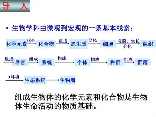 组成细胞的分子ppt1 人教课标版