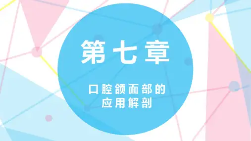 第七章 口 腔 颌 面 部 的 应 用 解 剖