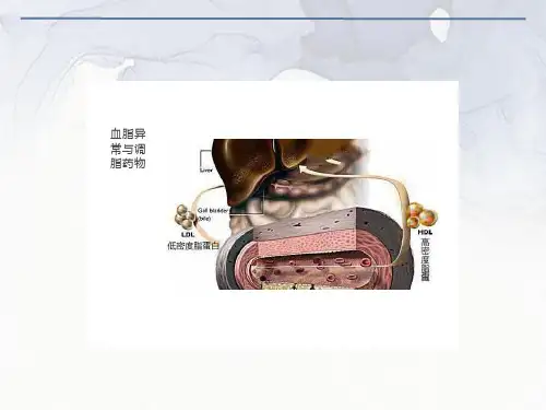 血脂异常与调节药物