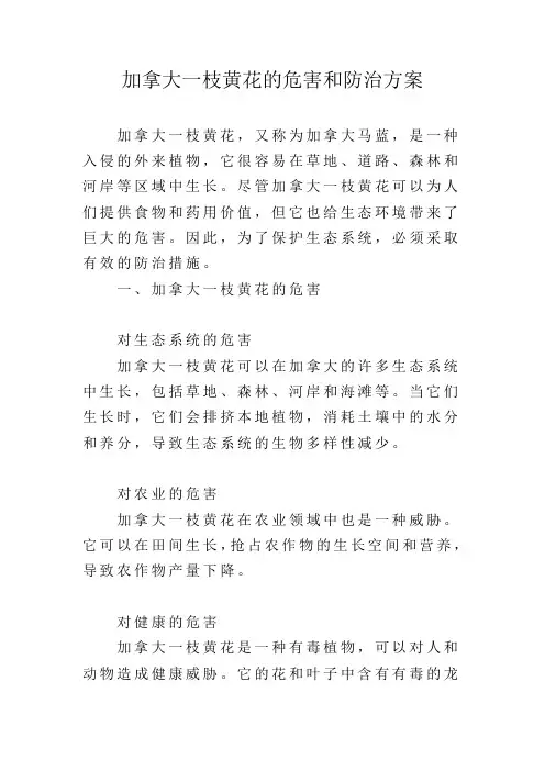加拿大一枝黄花的危害和防治方案