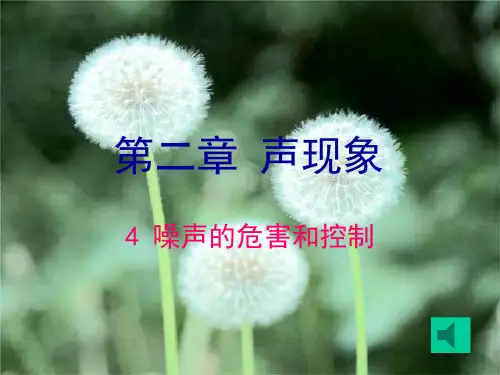 人教物理八年级上册第二章第4节噪声的危害与控制(共19张PPT)